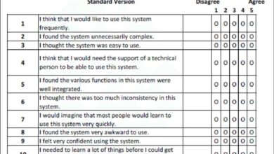 system usability scale